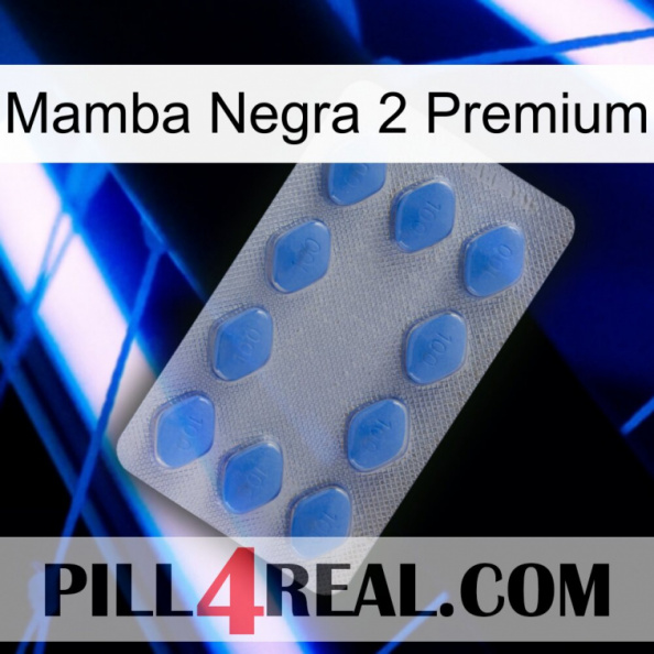 Black Mamba 2 Premium 21.jpg